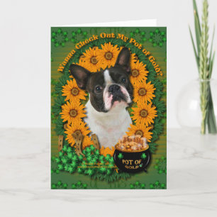 St Patricks - kruka av guld - Boston Terrier Kort