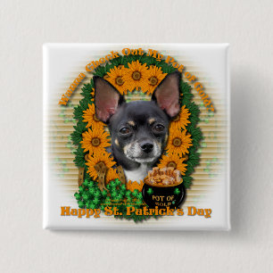 St Patricks - kruka av guld - Chihuahua - Isabella Knapp