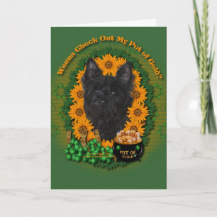 St Patricks - kruka av guld - röseTerrier - Rosco Kort