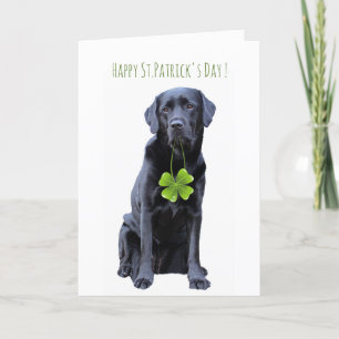 St.Patrick's Labrador - Svart lab Helgkort