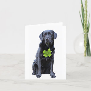 St.Patrick's Labrador - Svart lab Helgkort