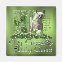 St Patricks - Me Lucky Charm - China Crested