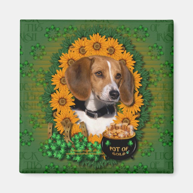 St Patricks - Pot of Guld - Beagle Magnet (Framsidan)