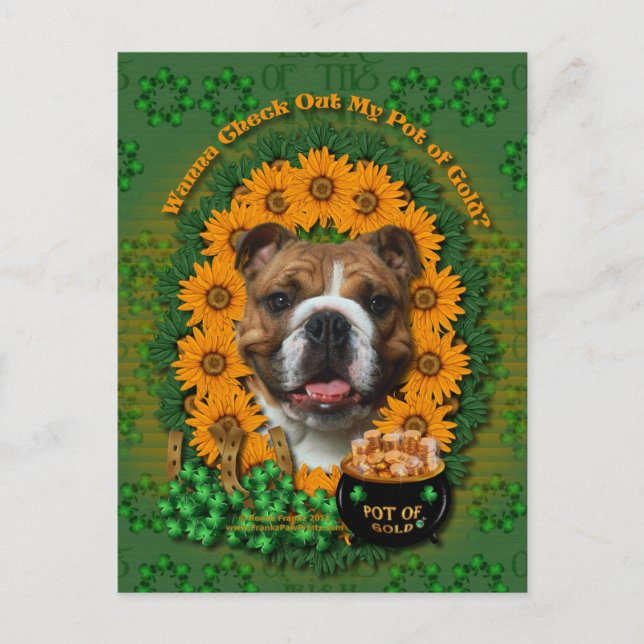 St Patricks - Pot of Guld - Bulldog Vykort (Framsida)
