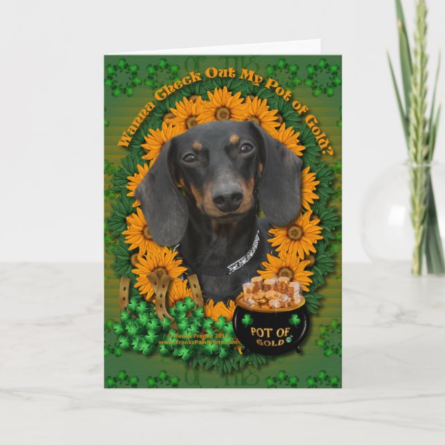 St Patricks - Pot of Guld - Dachshund - Winston Kort (Framsida)