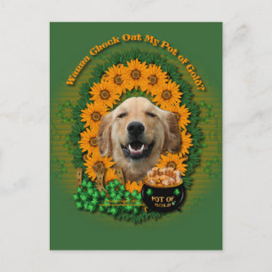 St Patricks - Pot of Guld - Golden Retriever Micke Vykort