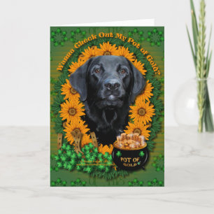 St Patricks - Pot of Guld - Labrador - Black -Gage Kort