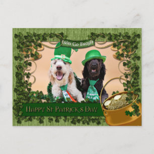 St Pats-dagen - GoldenDoodles - Sadie och Izzie Vykort