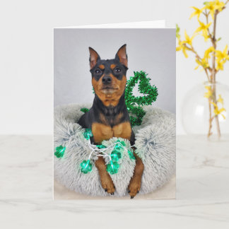 St Pats MinPin Kort