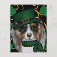 St. Patty Australian Shepherd