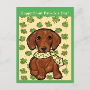 St.Patty Doxie Vykort