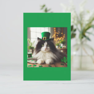 St. Pattys dag Cat