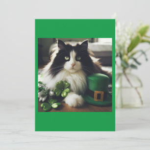 St. Pattys dagkatt