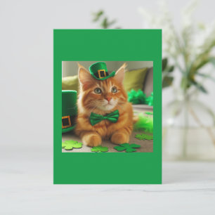 St. Patty's Day Orange Tabby katt