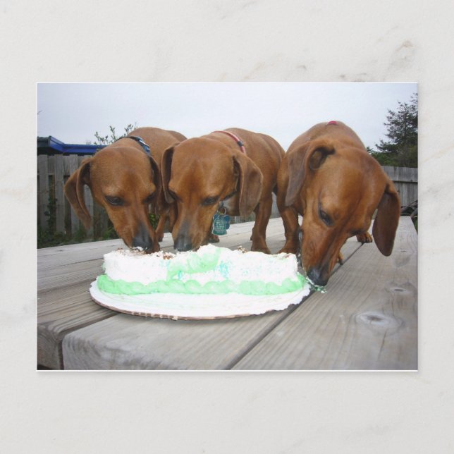 St Pattys Day Vykort (Framsida)