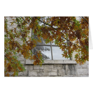 St. Paul's Autumn Oak Hälsningskort
