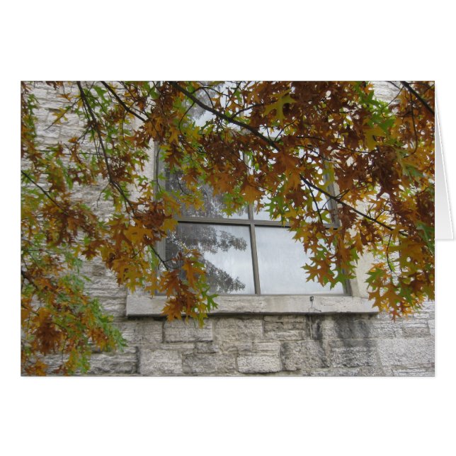St. Paul's Autumn Oak Hälsningskort (Framsidan Horizontal)