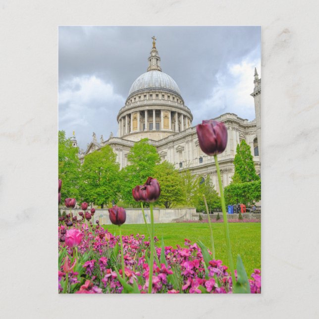 St.Paul's Cathedral London UK Postcard Vykort (Framsida)