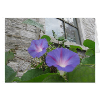 St. Paul's morgon glory with window Hälsningskort