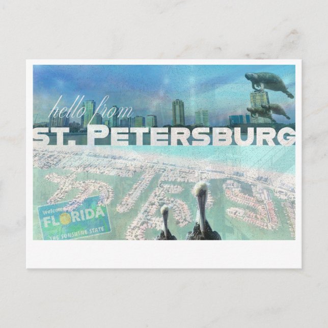 St. Pete Postcard Vykort (Framsida)
