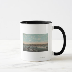 St Petersburg FL - strand beskådar med Mugg