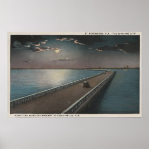 St Petersburg Florida - natten beskådar av Poster