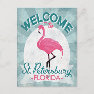 St Petersburg Florida Rosa Flamingo Retro Vykort