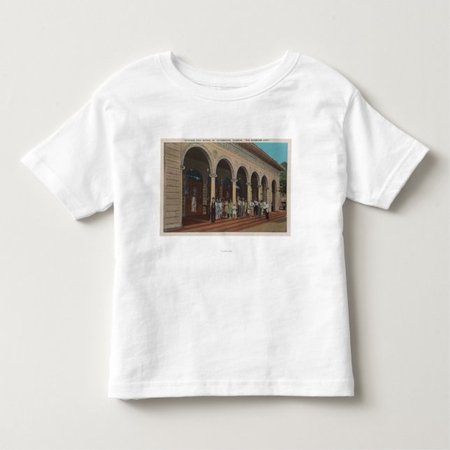 St Petersburg yttre FL - beskåda av postar T Shirt (Framsida)