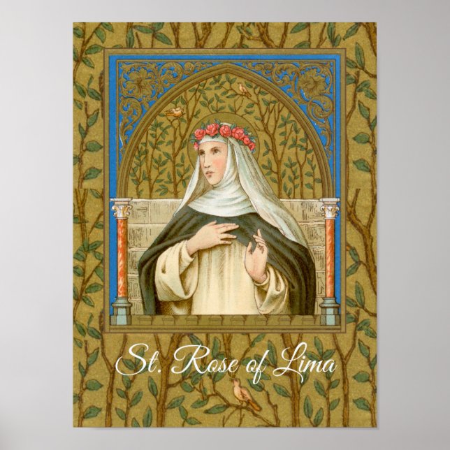 St. Ro i Lima (BK 020) Poster (Framsidan)