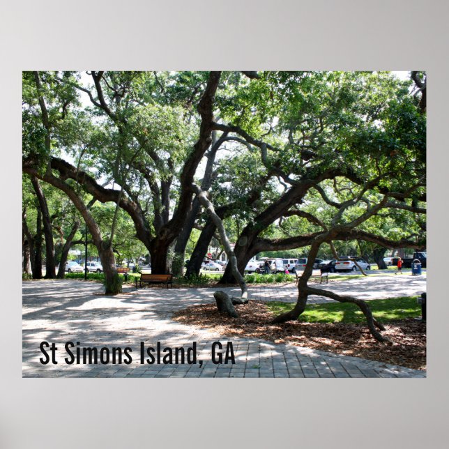 St Simons GA Wandering Oak Photo Poster (Framsidan)