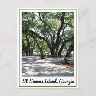 St Simons GA Wandering Oak Träd Vykort