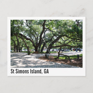 St Simons GA Wandering Oak Träd Vykort