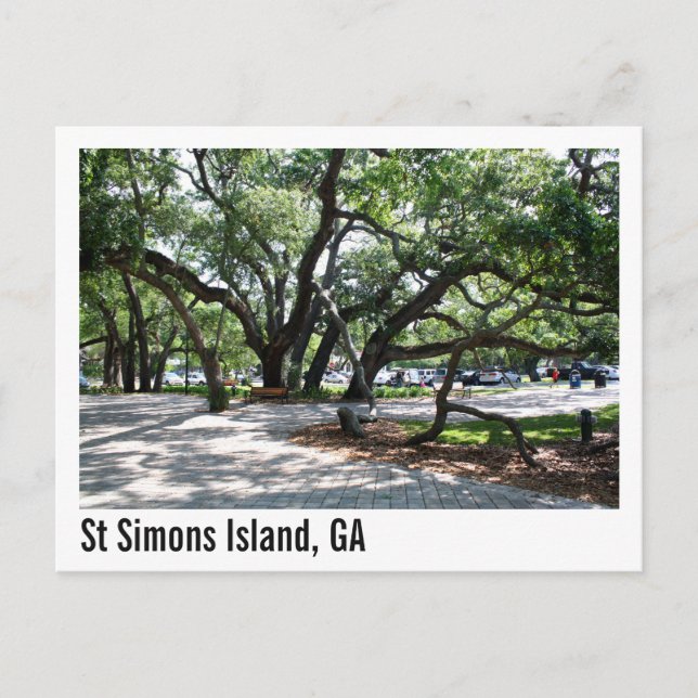 St Simons GA Wandering Oak Träd Vykort (Framsida)