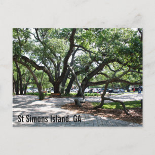 St Simons GA Wandering Oak Vykort