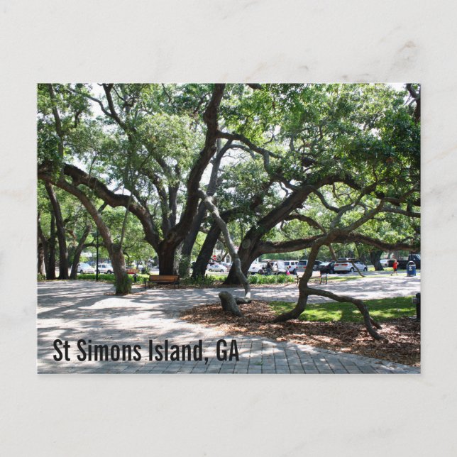 St Simons GA Wandering Oak Vykort (Framsida)