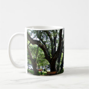 St Simons Island GA Wandering Oak Photo Kaffemugg
