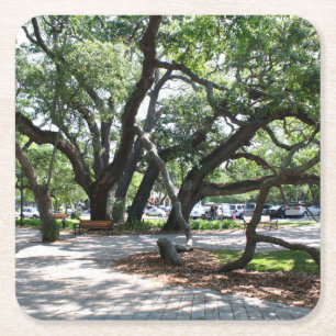 St Simons Island GA Wandering Oak Photo Underlägg Papper Kvadrat