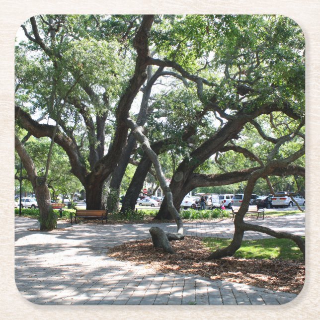 St Simons Island GA Wandering Oak Photo Underlägg Papper Kvadrat (Framsidan)