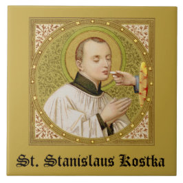 St. Stanislaus Kostka (SNV 25; SquareImage) Tile 2 Kakelplatta