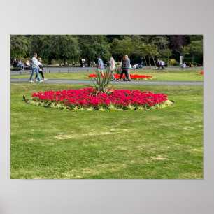 St Stephens Grönt Dublin Ireland Europe Poster