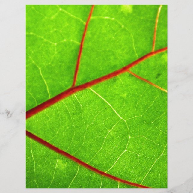 St Thomas 1 (Framsida)