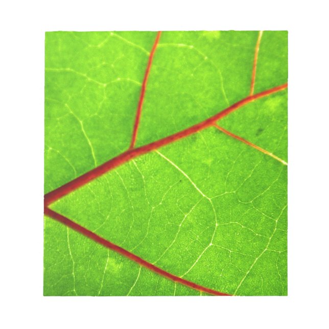 St Thomas 1 Anteckningsblock (Framsida)