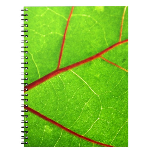 St Thomas 1 Anteckningsbok Med Spiral (Framsidan)