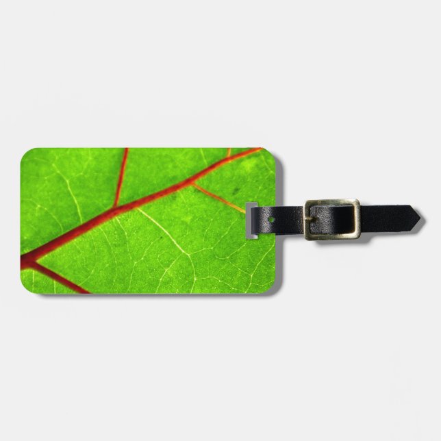 St Thomas 1 Bagagebricka (Horisontell Framsida)