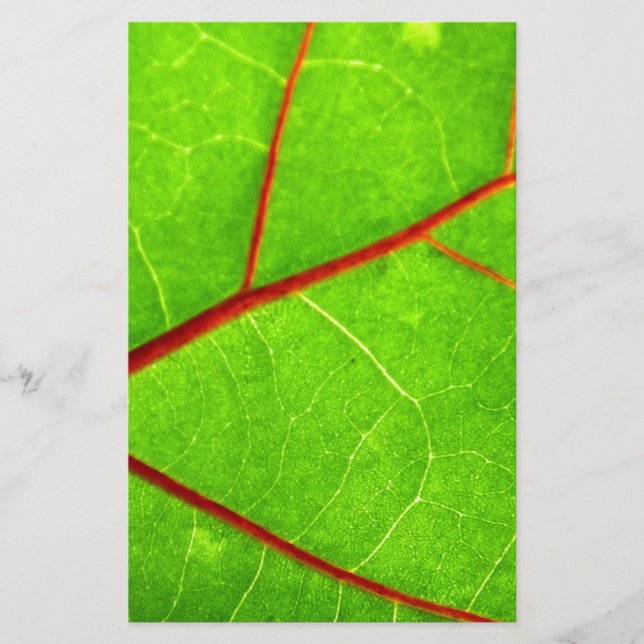 St. Thomas 1 Brevpapper (Framsida)