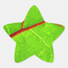 St. Thomas 1 Stjärnformat Klistermärke