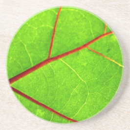 St Thomas 1 Underlägg Sandsten