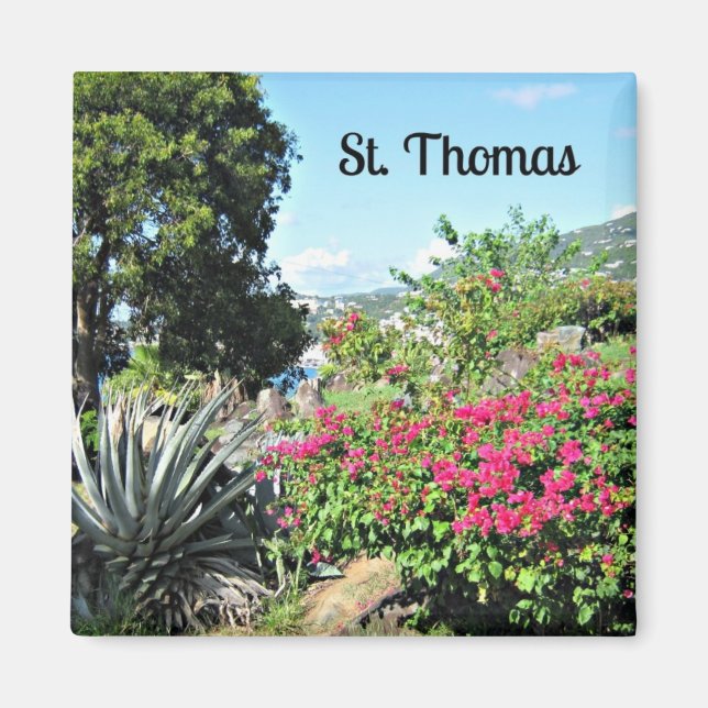St. Thomas Magnet (Framsidan)