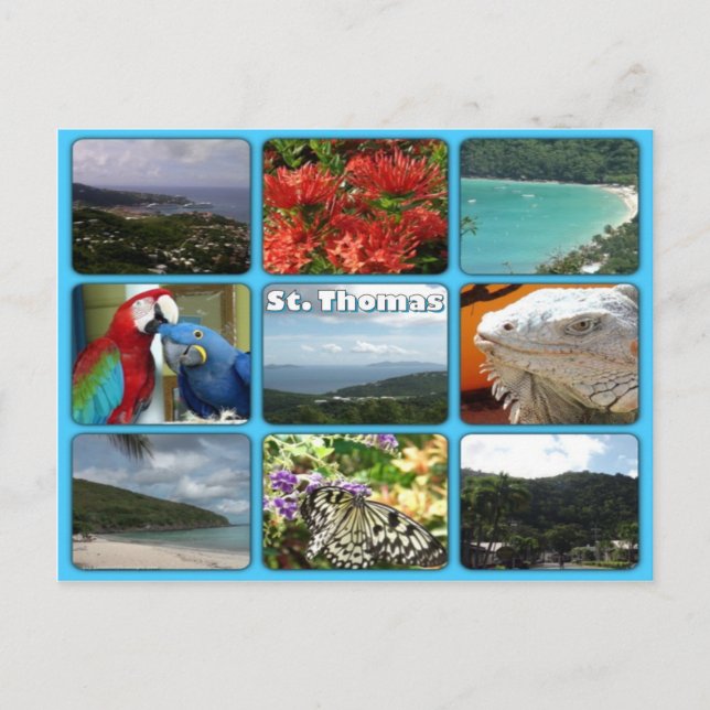 St. Thomas Photo Collage Postcard Vykort (Framsida)