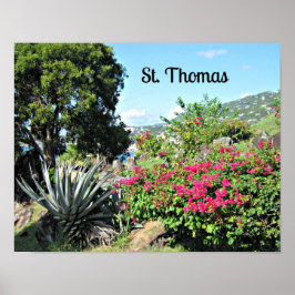 St. Thomas Poster